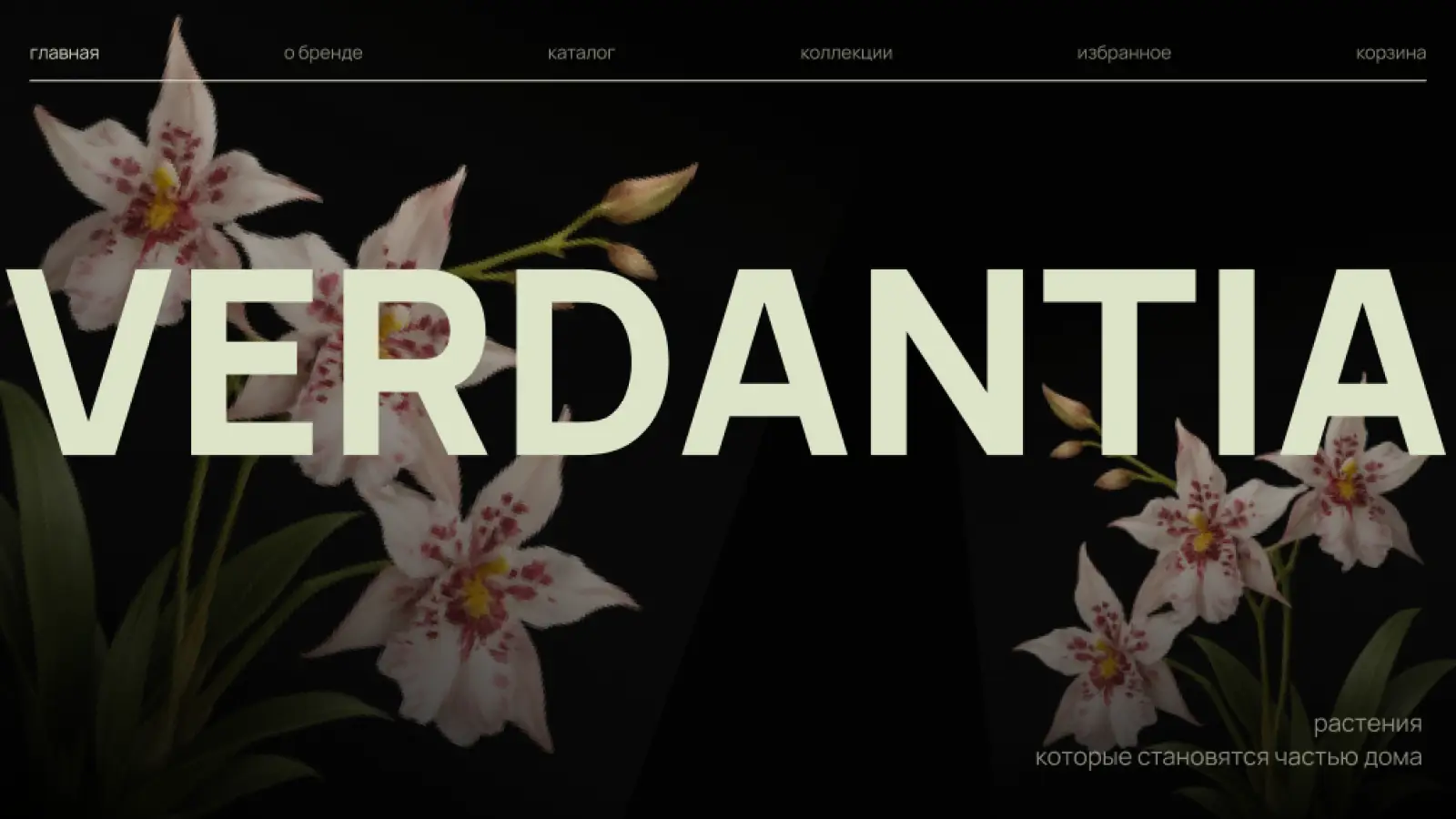 Verdantia
